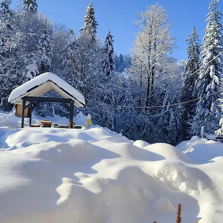 Domek Pierwiosnek Ustron - Cisza, Las, Balia I Totalny Relaks - Ucieknij Od Zgielku I Poczuj Spokoj Natury Exterior foto
