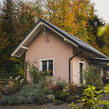 Domek Pierwiosnek Ustron - Cisza, Las, Balia I Totalny Relaks - Ucieknij Od Zgielku I Poczuj Spokoj Natury Exterior foto