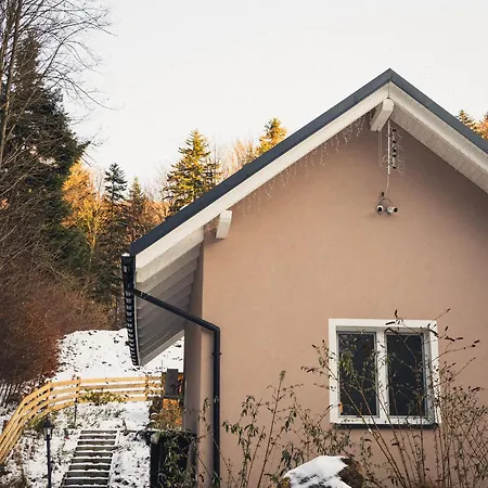 Domek Pierwiosnek Ustron - Cisza, Las, Balia I Totalny Relaks - Ucieknij Od Zgielku I Poczuj Spokoj Natury Exterior foto
